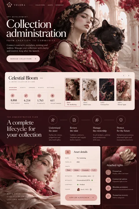 Original collection administration interface concept illustrating nft development